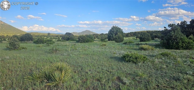 148 Mears Rd, Cotopaxi, CO 81223 - photo 15