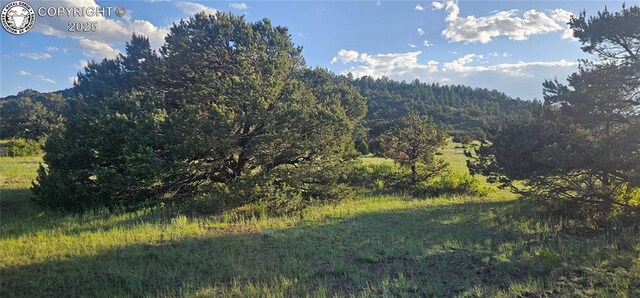 148 Mears Rd, Cotopaxi, CO 81223 - photo 9