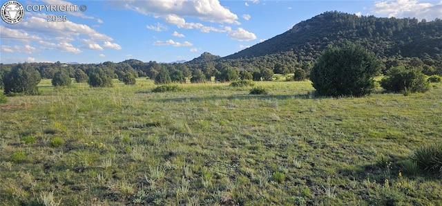 148 Mears Rd, Cotopaxi, CO 81223 - photo 28