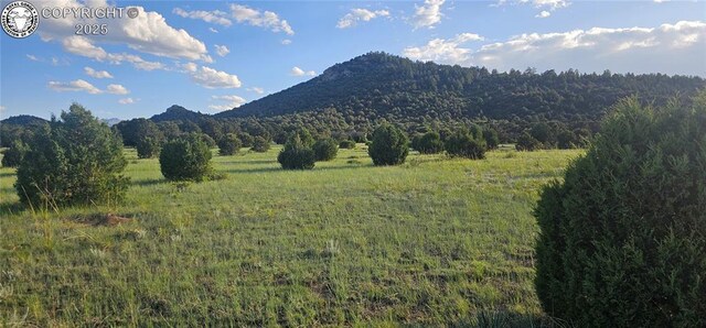 148 Mears Rd, Cotopaxi, CO 81223 - photo 33
