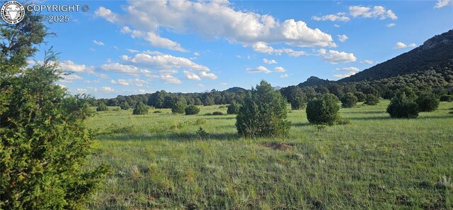 148 Mears Rd, Cotopaxi, CO 81223 - photo 34