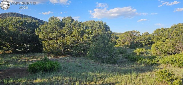 148 Mears Rd, Cotopaxi, CO 81223 - photo 10