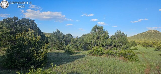 148 Mears Rd, Cotopaxi, CO 81223 - photo 12