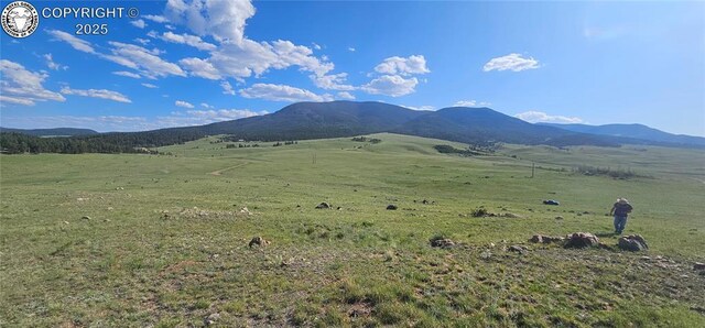 148 Mears Rd, Cotopaxi, CO 81223 - photo 5