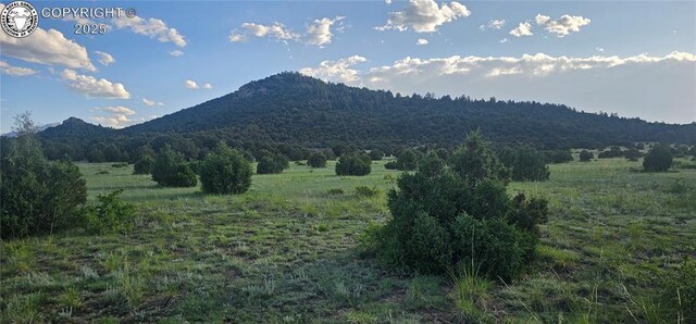 148 Mears Rd, Cotopaxi, CO 81223 - photo 36