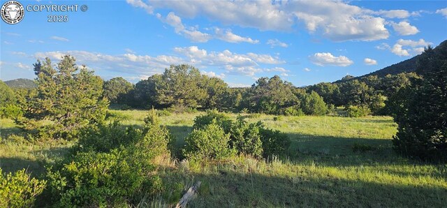 148 Mears Rd, Cotopaxi, CO 81223 - photo 47
