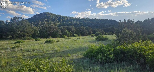 148 Mears Rd, Cotopaxi, CO 81223 - photo 14