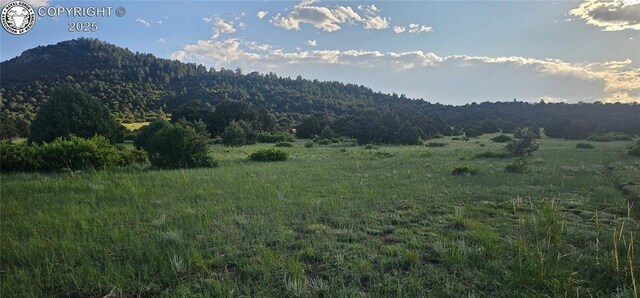 148 Mears Rd, Cotopaxi, CO 81223 - photo 24