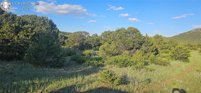 148 Mears Rd, Cotopaxi, CO 81223 - photo 11
