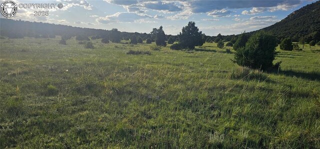 148 Mears Rd, Cotopaxi, CO 81223 - photo 43
