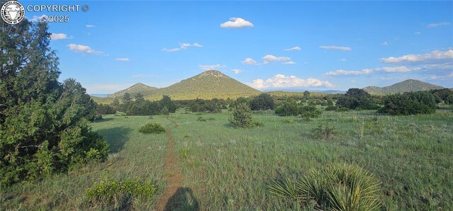 148 Mears Rd, Cotopaxi, CO 81223 - photo 16