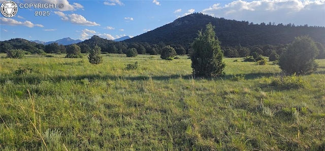 148 Mears Rd, Cotopaxi, CO 81223 - photo 44