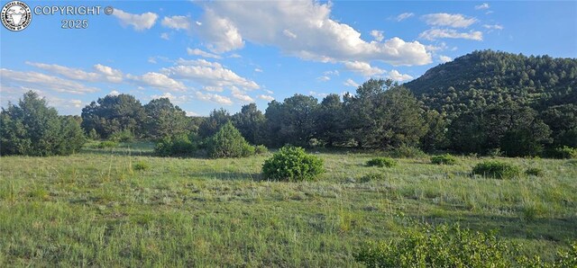 148 Mears Rd, Cotopaxi, CO 81223 - photo 13