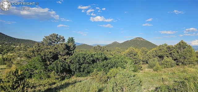 148 Mears Rd, Cotopaxi, CO 81223 - photo 6