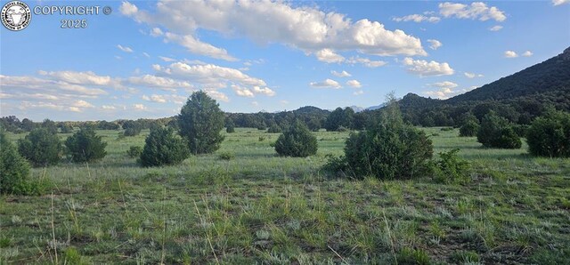 148 Mears Rd, Cotopaxi, CO 81223 - photo 35