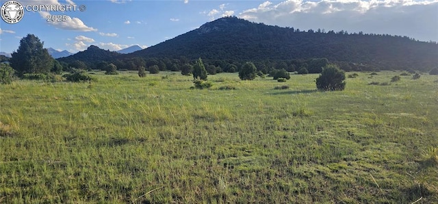 148 Mears Rd, Cotopaxi, CO 81223 - photo 40