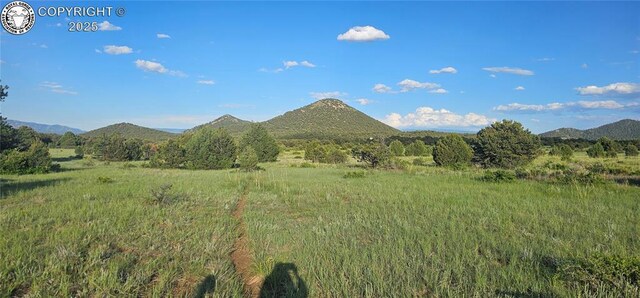 148 Mears Rd, Cotopaxi, CO 81223 - photo 19