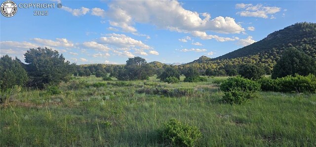 148 Mears Rd, Cotopaxi, CO 81223 - photo 25