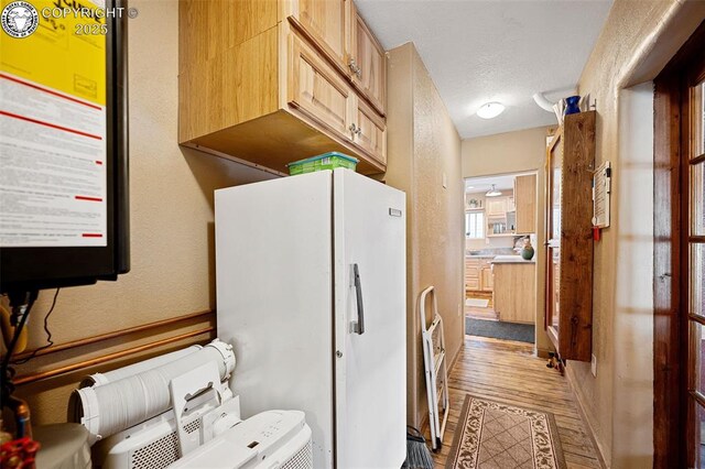 kitchen featuring a textured wall, light brown cabinetry, freestanding refrigerator, and light wood-style floors