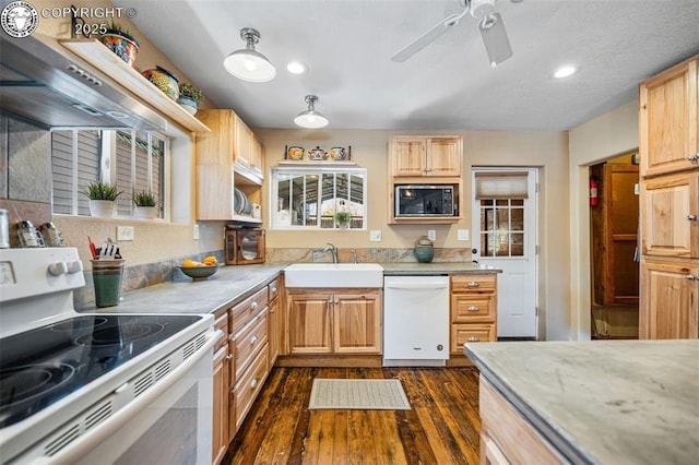 kitchen with white appliances, light countertops, a sink, and dark wood-style flooring