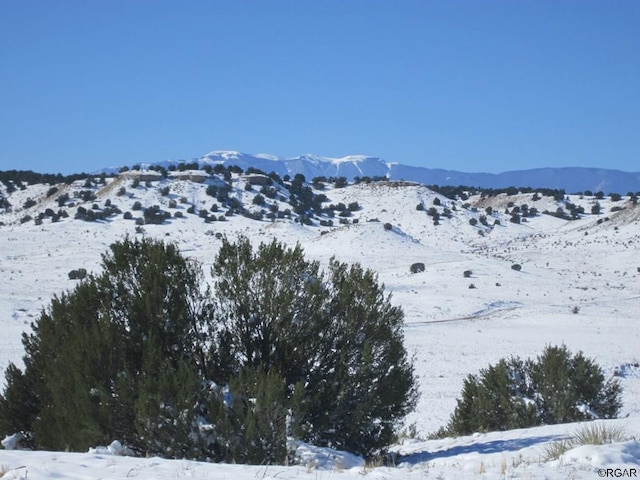 LOT47 Reno Rd, Pueblo, CO 81004 - photo 9