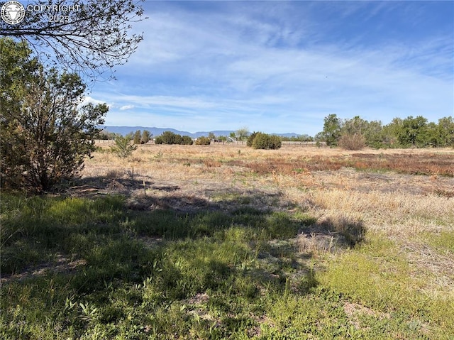 735 M St, Penrose, CO 81244 - photo 6
