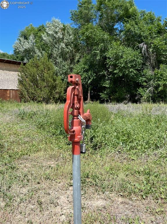 735 M St, Penrose, CO 81244 - photo 35