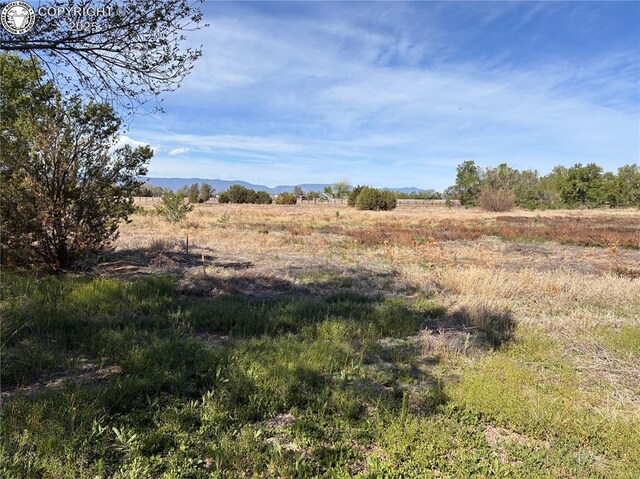 735 M St, Penrose, CO 81244 - photo 4