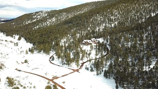 snowy aerial view with a mountain view