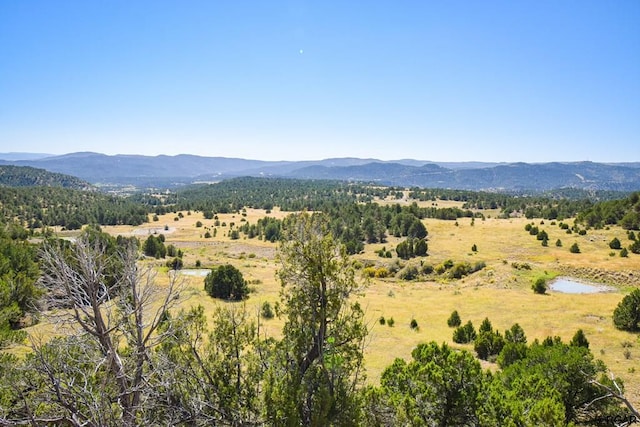 Listing photo 3 for TBD Highway 12, Trinidad CO 81082