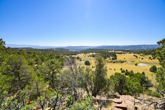 Listing photo 2 for TBD Highway 12, Trinidad CO 81082