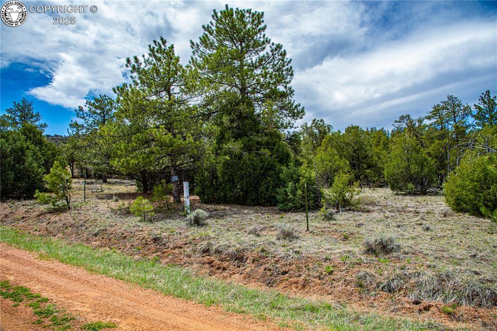 200 Cottonwood Dr, Cotopaxi, CO 81223 - photo 1