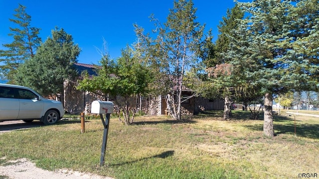 view of property hidden behind natural elements with a front lawn