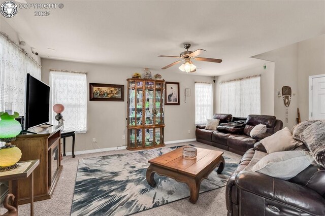 3533 Rio Bravo Dr, Canon City, CO 81212 - photo 11