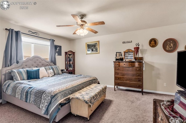 3533 Rio Bravo Dr, Canon City, CO 81212 - photo 25