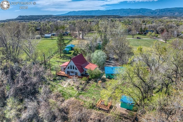 drone / aerial view featuring a mountain view