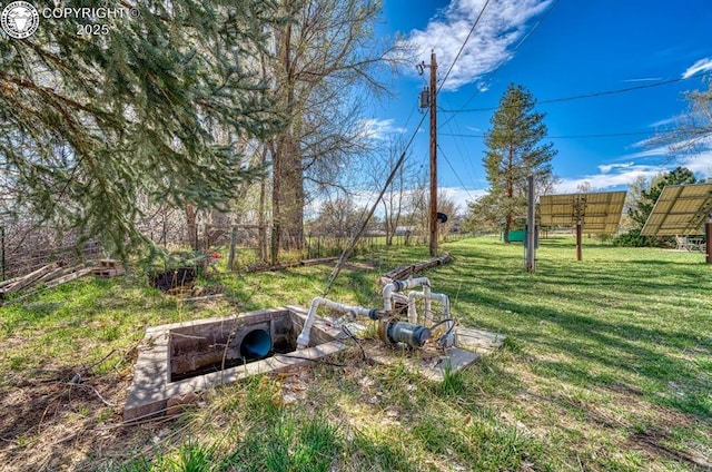view of yard with a garden