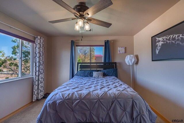 39 5th St, Penrose, CO 81240