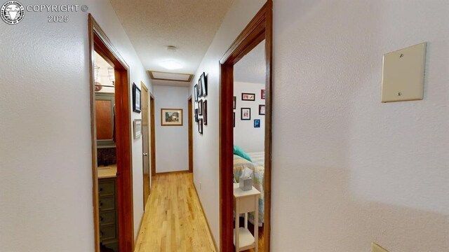 1027 E 3rd St, Florence, CO 81226 - photo 23