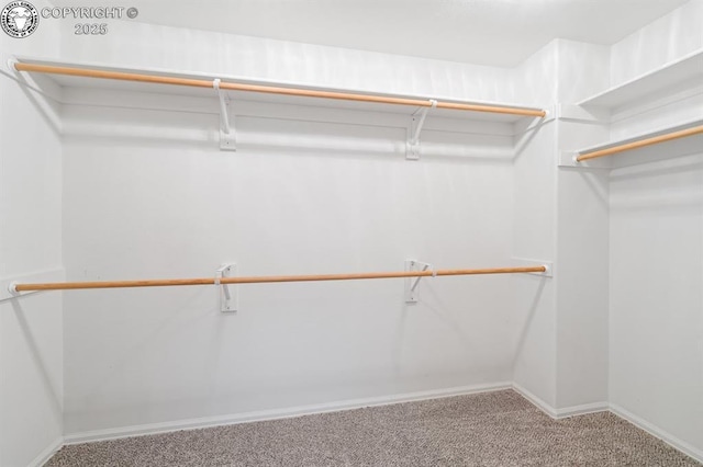 3325 Skyline Loop, Canon City, CO 81212 - photo 20