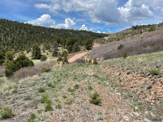 Listing photo 3 for TBD-L17 S T-Bar Trl, Canon City CO 81212