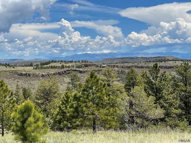 TBD-L17 S T-Bar Trl, Canon City CO, 81212 land for sale