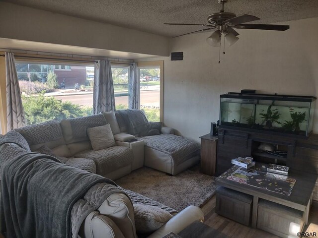 living room featuring ceiling fan, plenty of natural light, and a textured ceiling