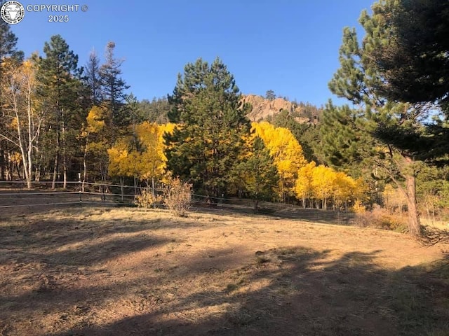 view of yard featuring a forest view