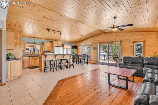 living area featuring lofted ceiling, wooden walls, wood ceiling, and rail lighting