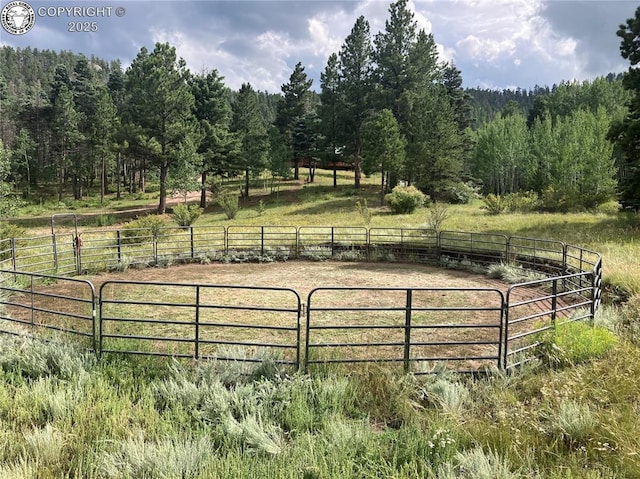 view of yard featuring a view of trees, a rural view, and fence