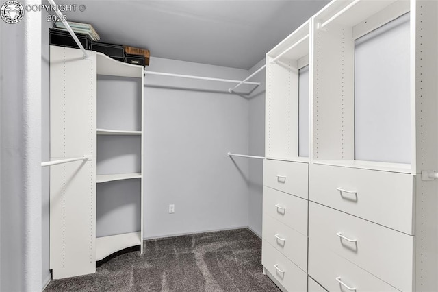 855 5th St, Penrose, CO 81240 - spacious closet with dark colored carpet