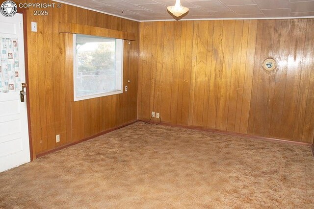 485 Spring Ave, Rockvale, CO 81244 - carpeted spare room with wood walls