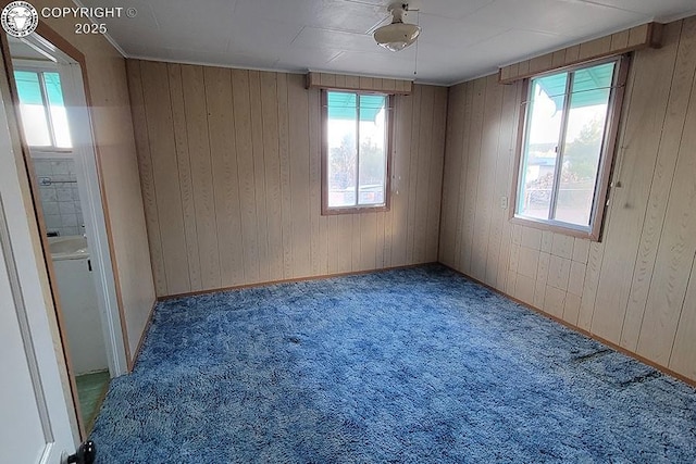 485 Spring Ave, Rockvale, CO 81244 - unfurnished room with healthy amount of natural light, carpet, and wood walls