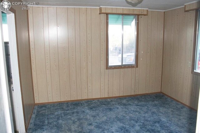 485 Spring Ave, Rockvale, CO 81244 - spare room featuring carpet and wooden walls